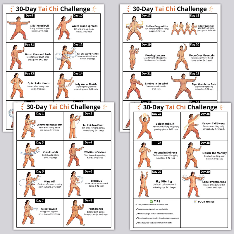 Home Gym Reviews - 4 adet 30 Günlük Tai Chi