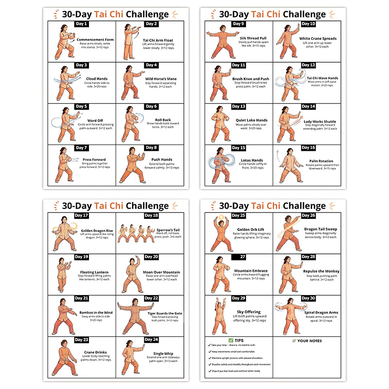 4 adet 30 Günlük Tai Chi Egzer - Home Gym Reviews incelemesi ve fiyatı